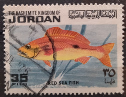 JORDANIA 1974 Red Sea Fish. USADO - USED. - Jordanie