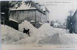 C. P. A. : SAINT-PIERRE Et MIQUELON : Sous La Neige - Saint-Pierre-et-Miquelon