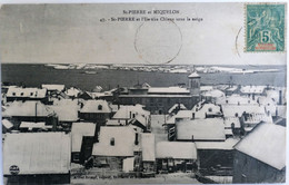 C. P. A. : SAINT-PIERRE Et MIQUELON : St-Pierre Et L'Ile Aux Chiens Sous La Neige, Timbre En 1908 - Saint-Pierre-et-Miquelon