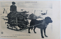 C. P. A. : SAINT-PIERRE Et MIQUELON : La Provision De Bois De Chauffage, Attelage De Chien - Saint-Pierre-et-Miquelon
