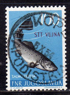 TRIESTE B 1954 FAUNA ANIMALS ANIMALI ANIMAUX FISH SALMO TRUTTA SALMONE PESCE 100d USATO USED OBLITERE' - Oblitérés