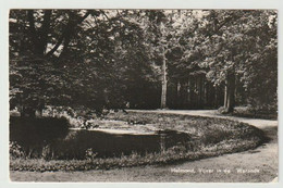 Postcard-ansichtkaart: Vijver In De Warande Helmond (NL) 1962 - Helmond