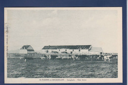 CPA Saint-Pierre-et-Miquelon Non Circulé édition Agence Générale Des Colonies Langlade - Saint-Pierre E Miquelon