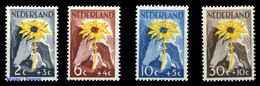 1949, Niederlande, 521-24, ** - Andere & Zonder Classificatie