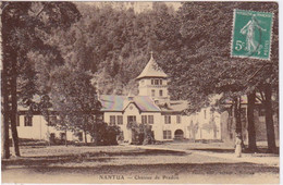 01 - AIN - NANTUA  - LE CHATEAU DE PRADON - Nantua