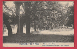 Freux - Domaine - Un Coin Du Parc - 1918 ( Voir Verso ) - Libramont-Chevigny