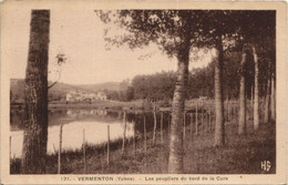 CPA VERMENTON Les Peupliers Du Bord De La Cure (1197646) - Vermenton