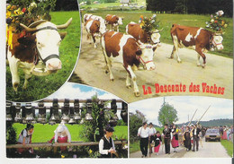 LES HOPITAUX NEUFS. 2 CP La Descente Des Vaches Multivues - Other Municipalities
