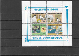 SENEGAL Nº HB 24 - Seagulls