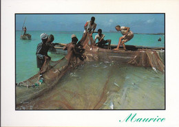 CPM - Pêcheurs à La Senne - Mauritius