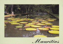 CPM - Jardins Des Pamplemousses - Mauritius