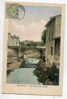 69-01 BRIGNAIS     Maisons Bords Du Garon 1905 Timb Couleur Dos Non Divisé    /D07-2015 - Brignais