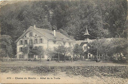 Pays Div -ref  Z912- Suisse - Le Champ Du Moulin - Hotel De La Truite  - - Cham