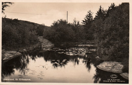 Marstrand (Sverige, Suède) S:t Eriksdamm (bassin) Carte Axel Hellman, Non Circulée - Zweden