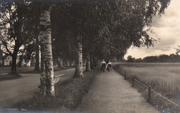 Leksand (Sverige, Suède) Alléen (seul Sous Les Arbres) - Carte Non Circulée - Zweden