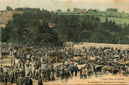 St Chamond * Vue Sur Le Marché Aux Bestiaux * Foire Aux Boeufs * Marchands - Saint Chamond