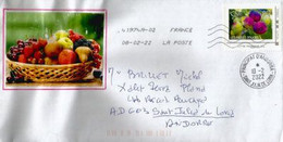 Corbeille De Fruits (les Figues Rouges), Sur Lettre Arrivée En Andorre - Lettres & Documents