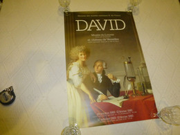 Affiche DAVID, Musée Du Louvre 1989 40x60 ; R14 - Afiches
