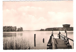 Deutschland - Bad Saarow Pieskow Am Scharmützelsee - Dampfer Anlegestelle " Alte Eichen " - Bad Saarow