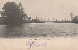 NALINNES :L'Etang - Ham-sur-Heure-Nalinnes