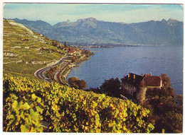 GF (Suisse) Vaud 059, Saint St Saphorin, Photoglob 9237, Vignobles De Lavaux - Saint-Saphorin