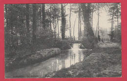 Overijse / Overyssche - La Cascade - 1913 ( Verso Zien ) - Overijse