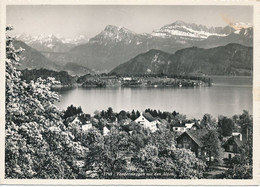 CPM GF-18683- Suisse Vordermeggen Aus Der Vogelschau Envoi Gratuit - Meggen