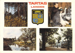 40 - Tartas - Multivues - Tartas