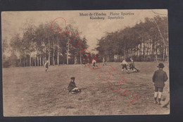 Mont-de-l'Enclus - Plaine Sportive - Postkaart - Mont-de-l'Enclus