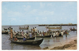 GAN, ADDU ATOLL - Native Dhonies - Maldives