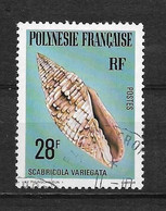 Timbres Oblitérés De Polynésie Française, N°143YT, Coquillage, Scabricola Variegata - Gebruikt