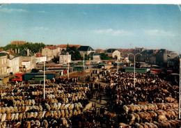 PARTHENAY (Deux-Sèvres). N°4. Le Champ De Foire. 1er Marché De France. CPSM. 1971. TBE. 2 SCANS - Parthenay