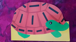 Tortue Cartes D Art - Turtles