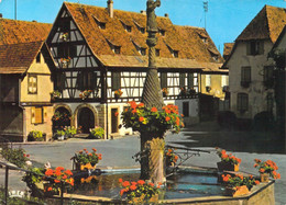 67 - DAMBACH-LA-VILLE - Fontaine Fleurie - Dambach-la-ville