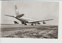 Vintage Rppc KLM K.L.M Royal Dutch Airlines Douglas Dc-8 @ Schiphol Airport - 1919-1938: Between Wars