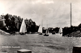 Voile, Régate: Medemblik, Havenhoofd (entrée Du Port) - Carte Non Circulée - Segeln