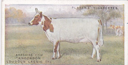2 The Ayrshire Cow  - British Livestock, 1915 -  Players Original Antique Cigarette Card - Animals - Player's
