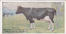 3 British Holstein Cow  - British Livestock, 1915 -  Players Original Antique Cigarette Card - Animals - Player's