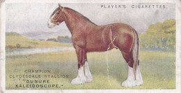 11 The Clydesdale  - Horse - British Livestock, 1915 -  Players Original Antique Cigarette Card - Animals - Player's