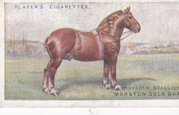 16 Suffolk Punch Horse  - British Livestock, 1915 -  Players Original Antique Cigarette Card - Animals - Player's