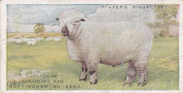 23 The Shropshire Sheep - British Livestock, 1915 -  Players Original Antique Cigarette Card - Animals - Player's