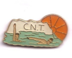 AA40  Pin's CNT Club Des Nageurs Tamponnais Basé Au Tampon île De La Réunion Natation Achat Immédiat Immédiat - Zwemmen