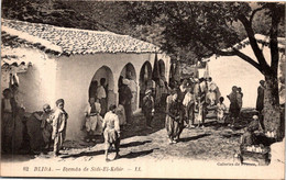 Algérie - BLIDA - Djemda De Sidi El Kébir - Blida