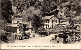 Algérie - BLIDA - Gorges De La Chiffa - Châlet Hôtel Du Ruisseau Des Singes - Blida