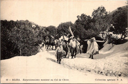 Algérie - BLIDA - Excurcionnistes Montant Au Col De Chréa - Blida