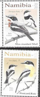 NAMIBIA, 2020, MNH, BIRDS, BATIS, 2v - Altri