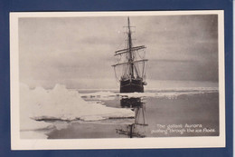 CPA Polaire Polar Non Circulé Gallant Aurora Carte Photo - Autres & Non Classés