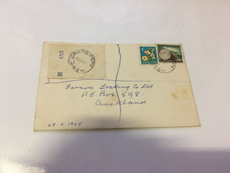 (1 G 24)  New Zealand Registered Leter Posted - 1965 (with  Tree Stamp) - Lettres & Documents