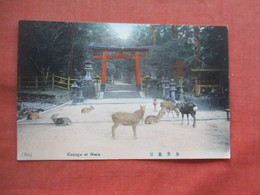 Kasuga At Nara Japan      Ref 5482 - Unclassified