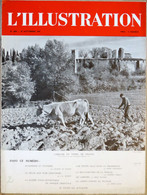 L’ILLUSTRATION N° 5090 28-09-1940 LABOUR SOMALIE SUEZ VON RIBBENTROP BAZIL BROOKE JARDIN D'HIVER CHALUTIER LIDO - L'Illustration